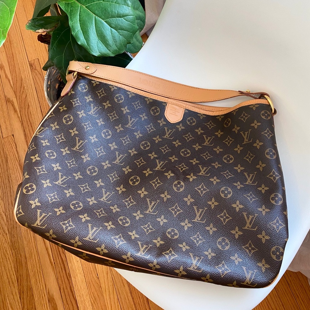Louis Vuitton Delightful Bag 2010